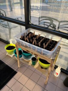 New Day Recovery Tazewell Plants Garden for Therapeutic Purposes